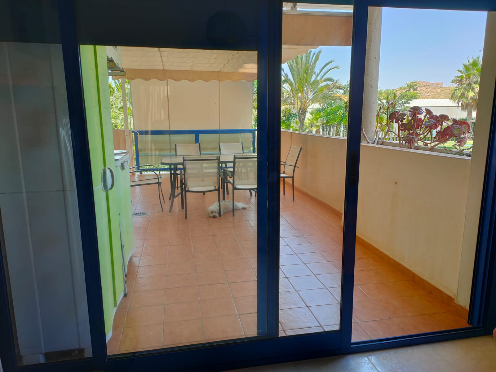 50003_WhatsApp Image 2025-08-18 at 10.14.12 (1).jpeg